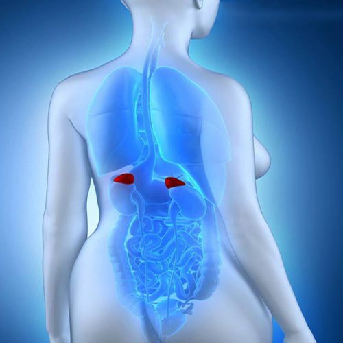 Câncer de Glândula Suprarrenal