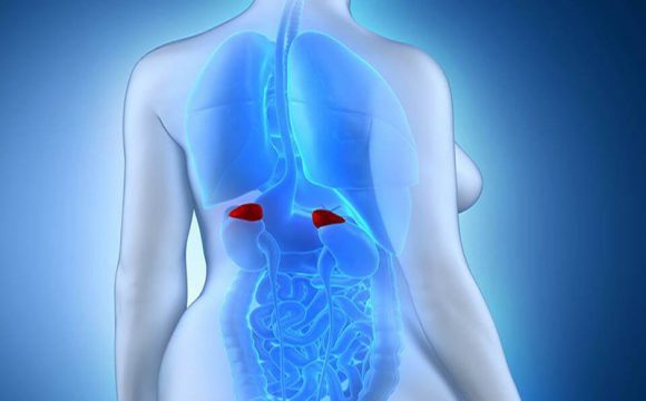 Câncer de Glândula Suprarrenal